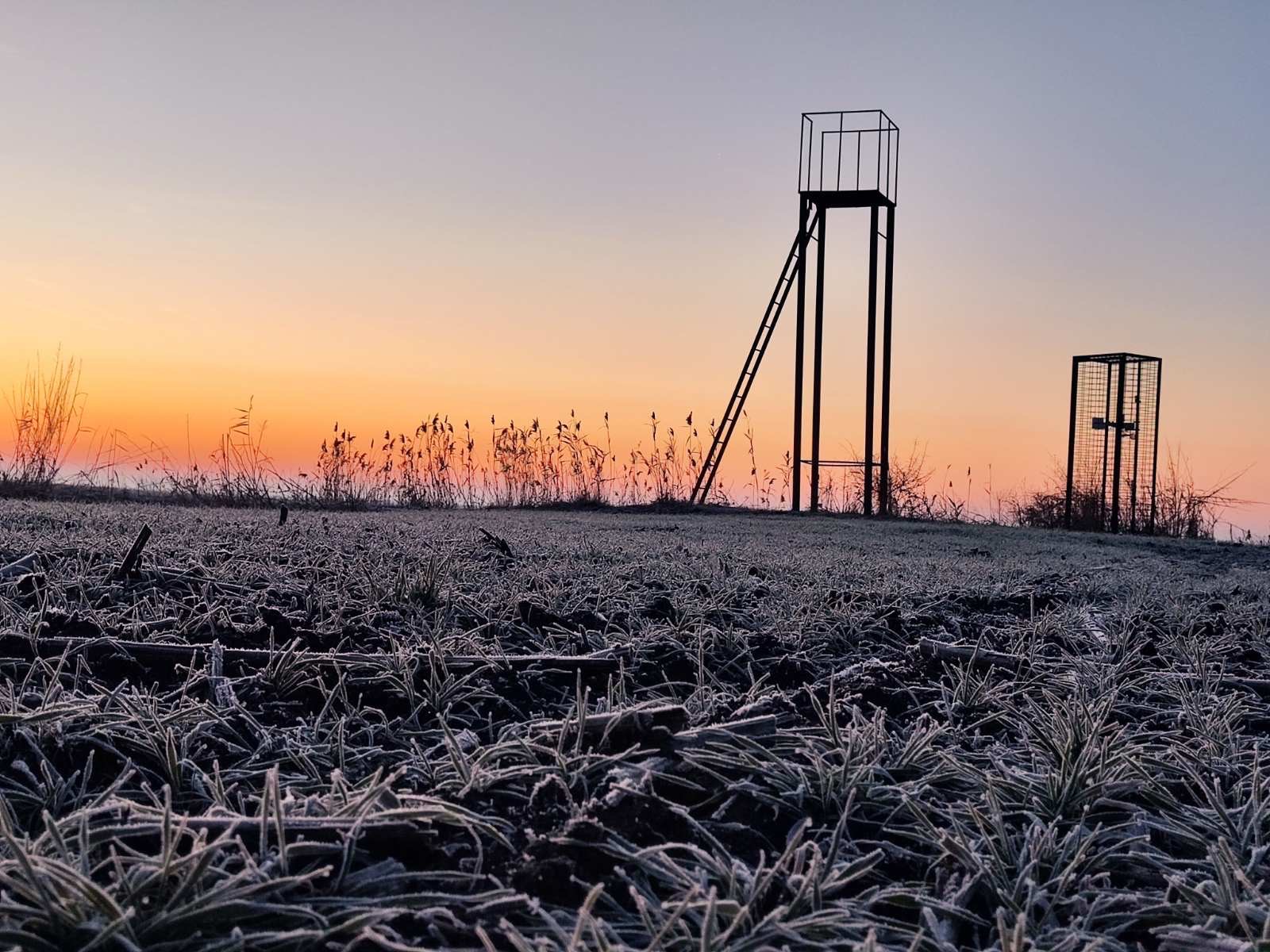 Uzorkovanje zemljišta - Čestereg i Banatsko Karađorđevo